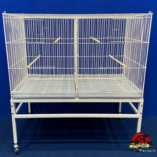 comprar voadeira para agaporni comprar voadeira para agaporni