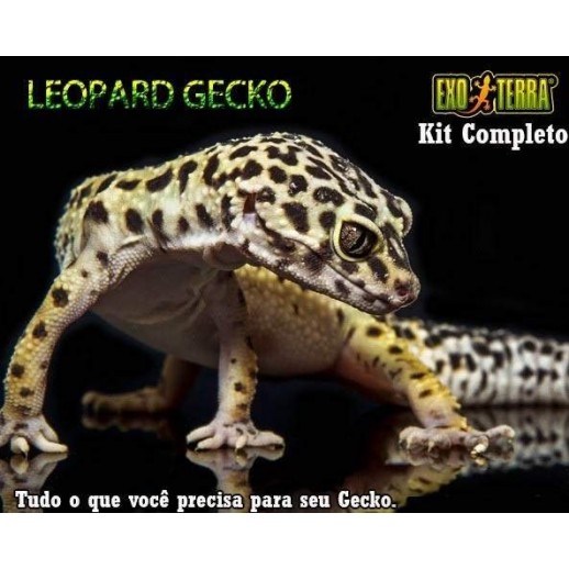 Kit Leopard Gecko Completo  Kit Leopard Gecko Completo