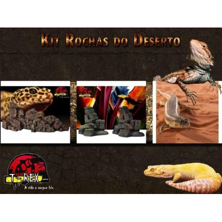 Kit Rochas do Deserto | Terrário | Decoração | Pogona