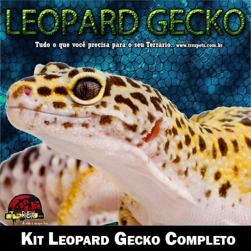 Produtos para Leopard Gecko Produtos para Leopard Gecko