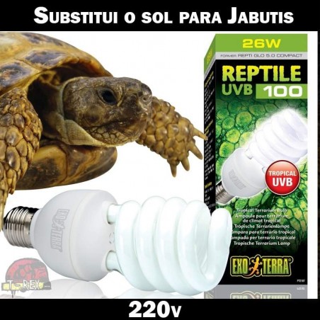 Lampada para Jabutis em 220v