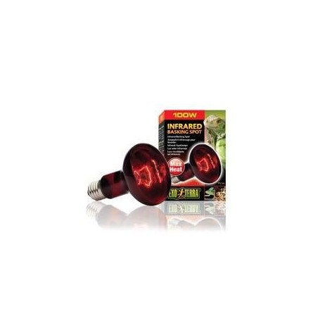 HeatGlo Infrared