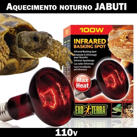 Lâmpada Jabuti