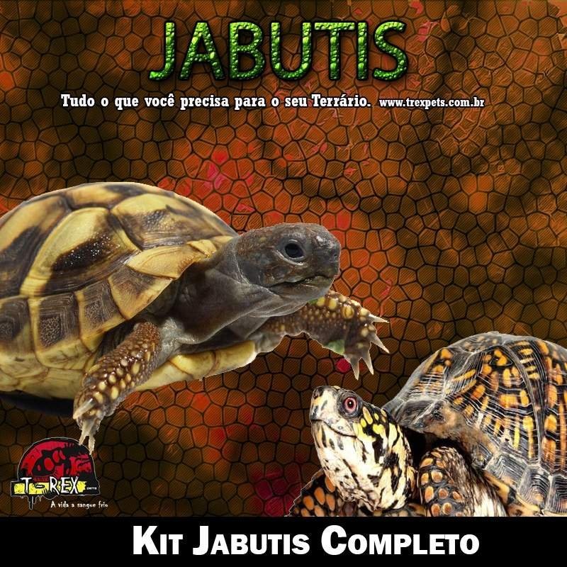 Comprar Lampada Terrario Jabuti