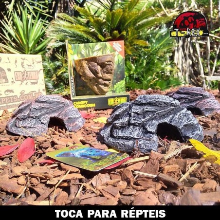 toca para gecko leopardo repteis