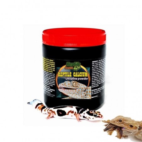 cálcio para pogona répteis