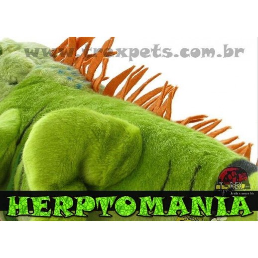 Iguana de Pelúcia G